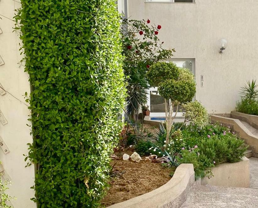 Casa Charm Falaise Monastir Bagian luar foto