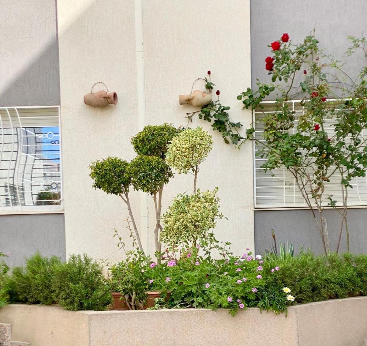 Casa Charm Falaise Monastir Bagian luar foto